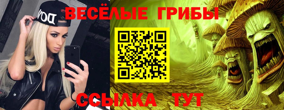 Галлюциногенные грибы GOLDEN TEACHER  сколько стоит  Ревда  Вход с VPN  Псилоцибиновые грибы Psilocybe 